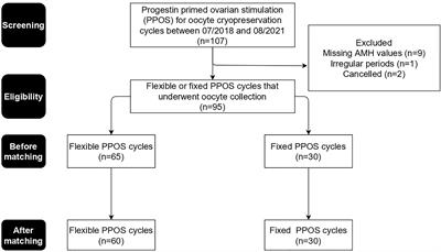 The Comparison of Fixed and Flexible Progestin Primed Ovarian Stimulation on Mature Oocyte Yield in Women at Risk of Premature Ovarian Insufficiency